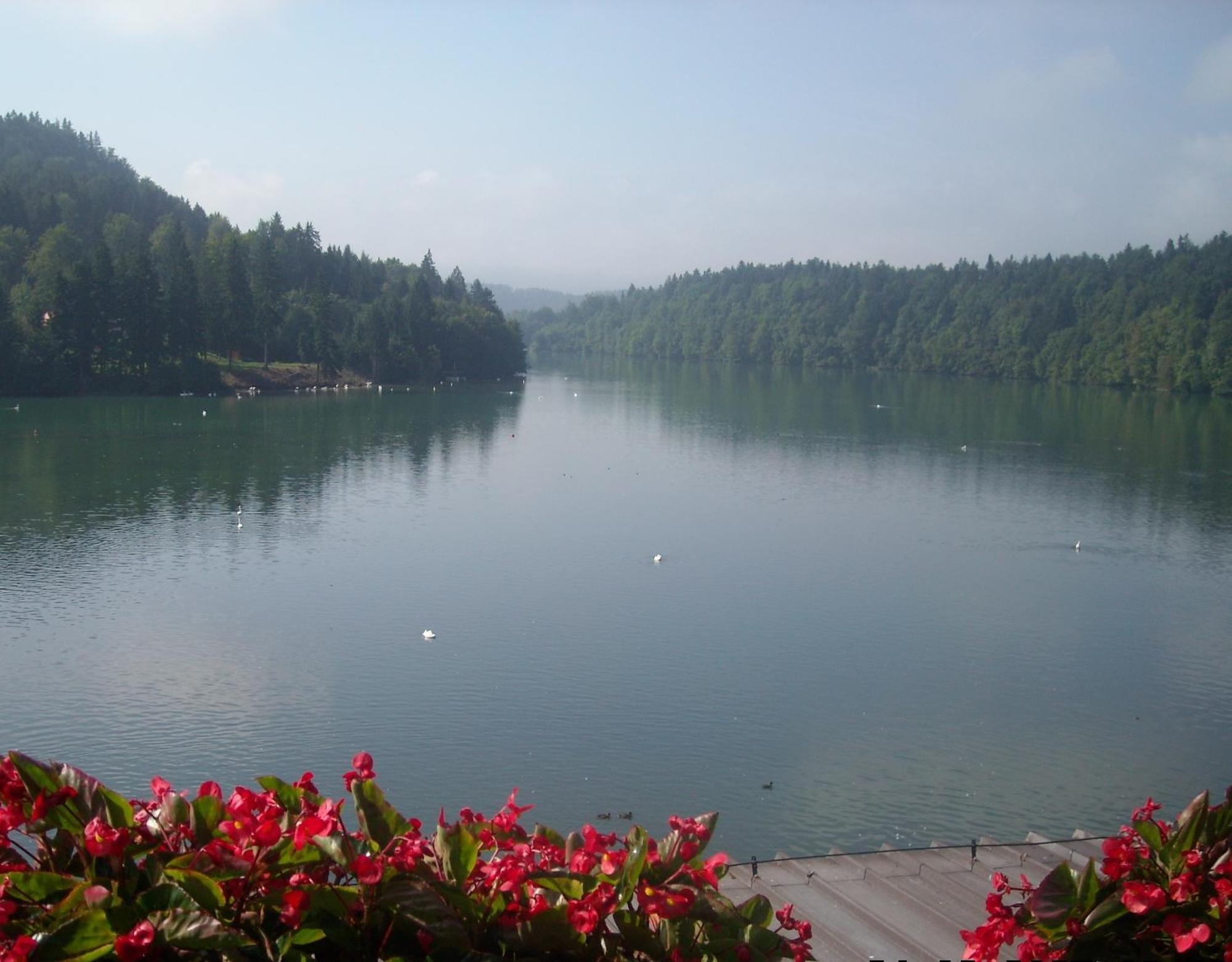 Gostisce Jezero Bed & Breakfast Medvode Luaran gambar