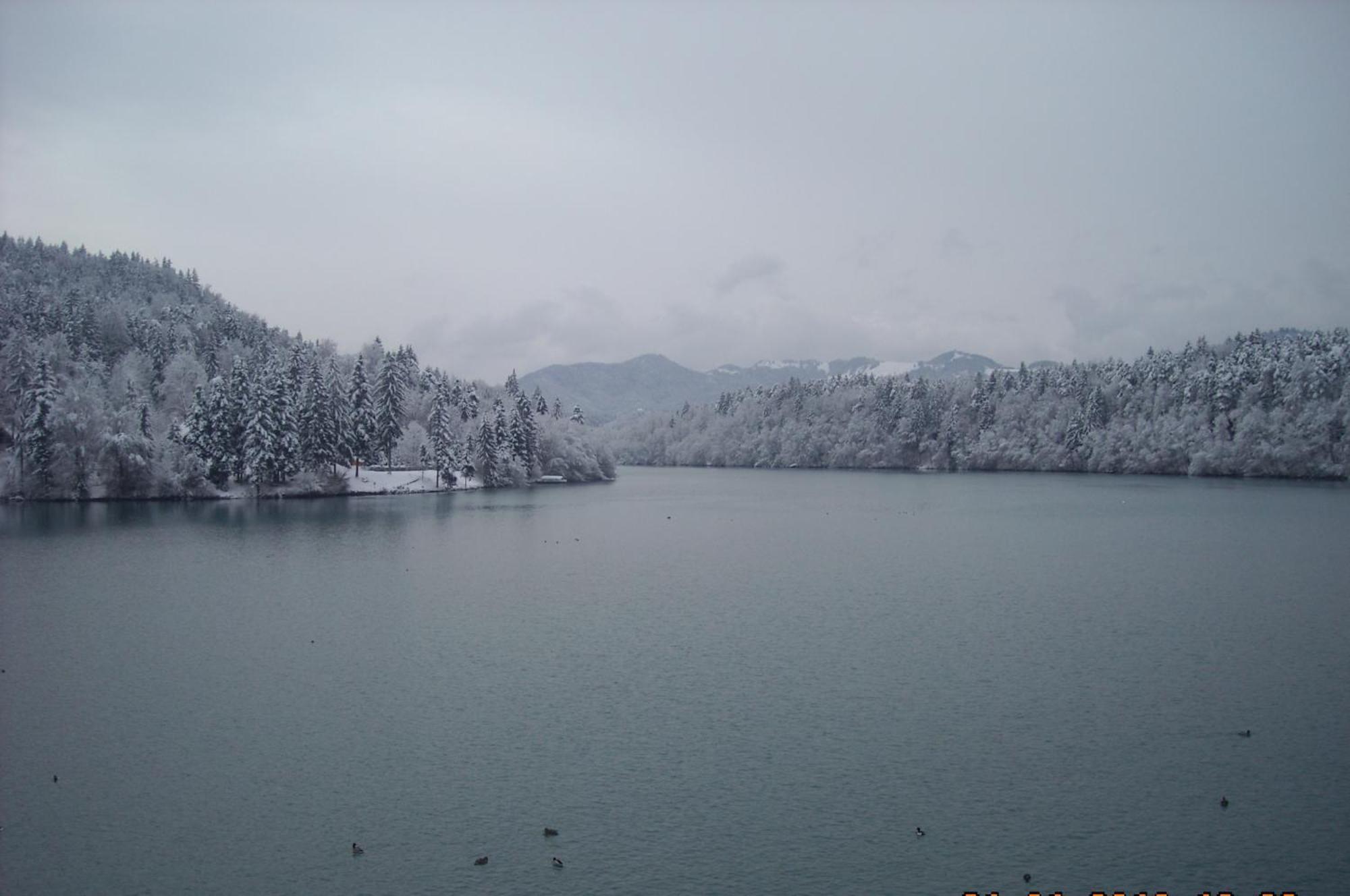 Gostisce Jezero Bed & Breakfast Medvode Luaran gambar